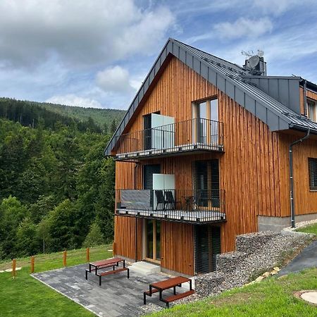Apartman - Dolni Morava - "Sedmicka" Pro 2 Az 6 Osob Exterior foto