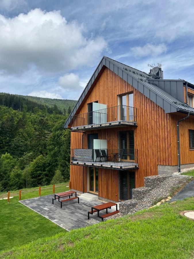 Apartman - Dolni Morava - "Sedmicka" Pro 2 Az 6 Osob Exterior foto